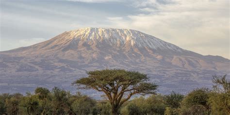 Kilimanjaro - En hypnotisk melodi med svindlande takter som tar dig till toppen av musikalisk upplevelse